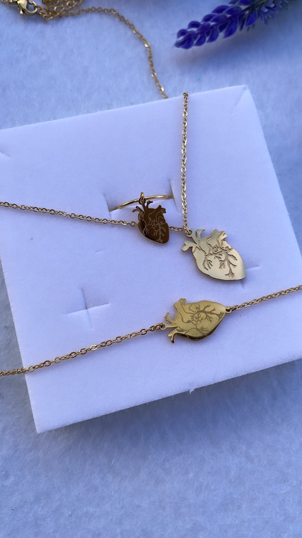 Set cuore anatomico