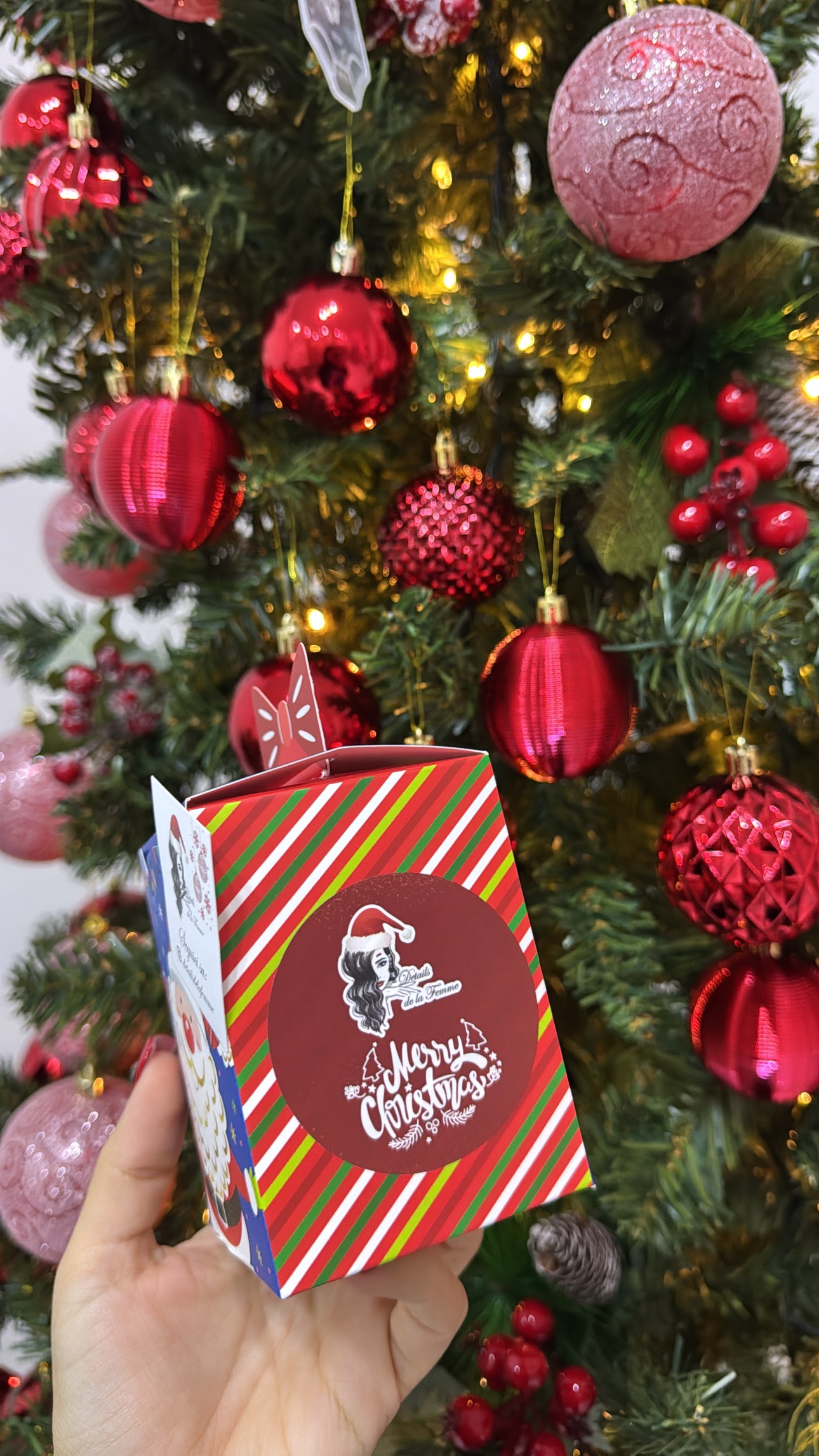 Set orecchini + collana princess + confezione regalo natalizia