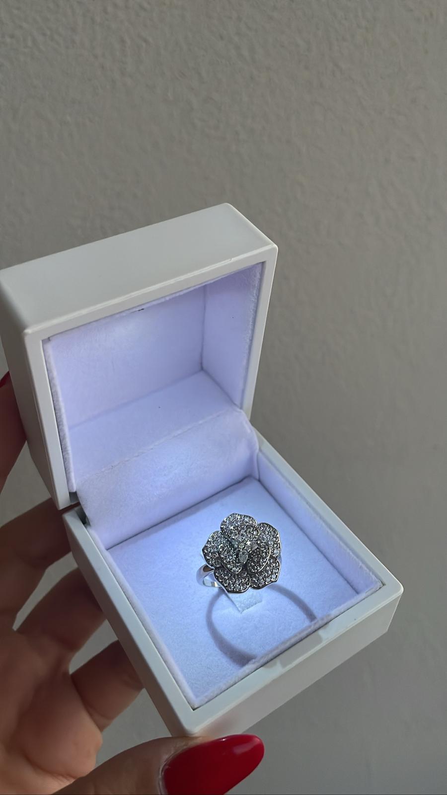 Anello amelia