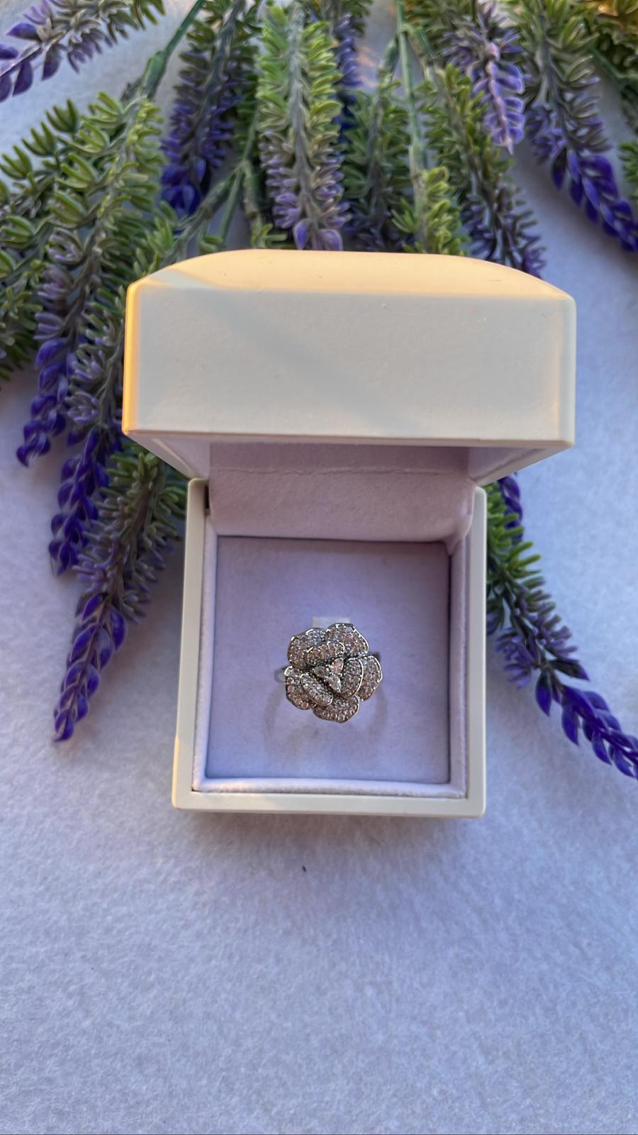 Anello amelia