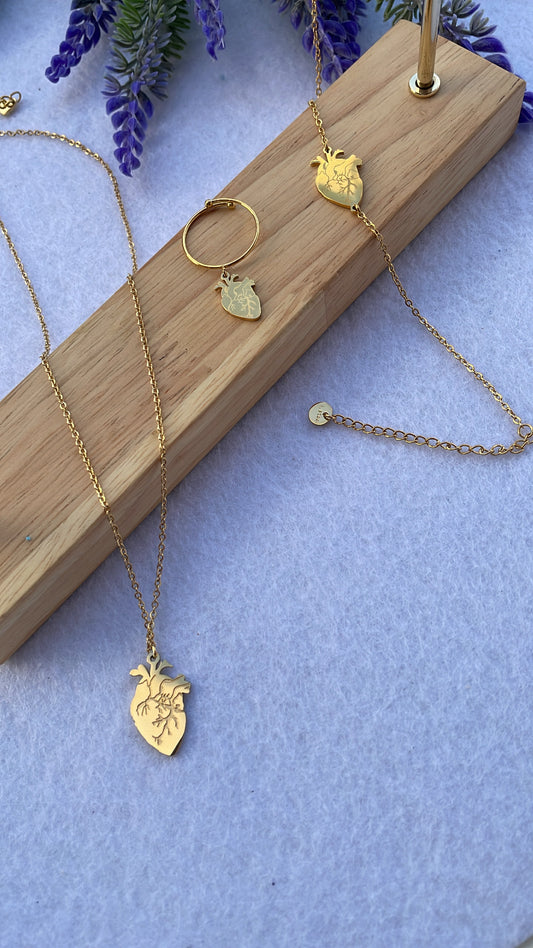 Set cuore anatomico