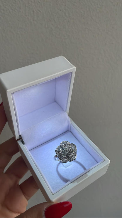 Anello amelia
